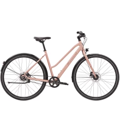 247 TRA - Cèdre De L'Atlas Métallisé