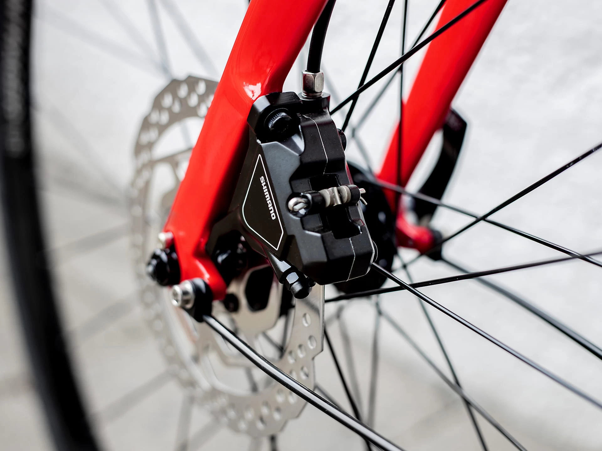 Trek FX 3 Disc Equipped Viper Red To Cobra Blood Fade 12 Trek FX 3 Disc Equipped Viper Red To Cobra Blood Fade – Image 10