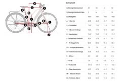Trek FX+ 2 Femmes Blue Sage -Boutique De Voitures FXPlus2 Damenqn8Vn0DTsBfKY