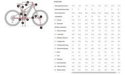 Trek Rail 7 Deore/XT Gen 3 Matte Blue Sage -Boutique De Voitures Rail 9 kleinCYorGQC2fzYRv