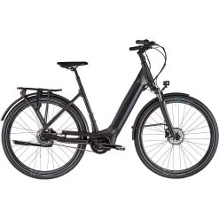 Giant DailyTour E+ 2 (cadre Bas/core/500Wh)